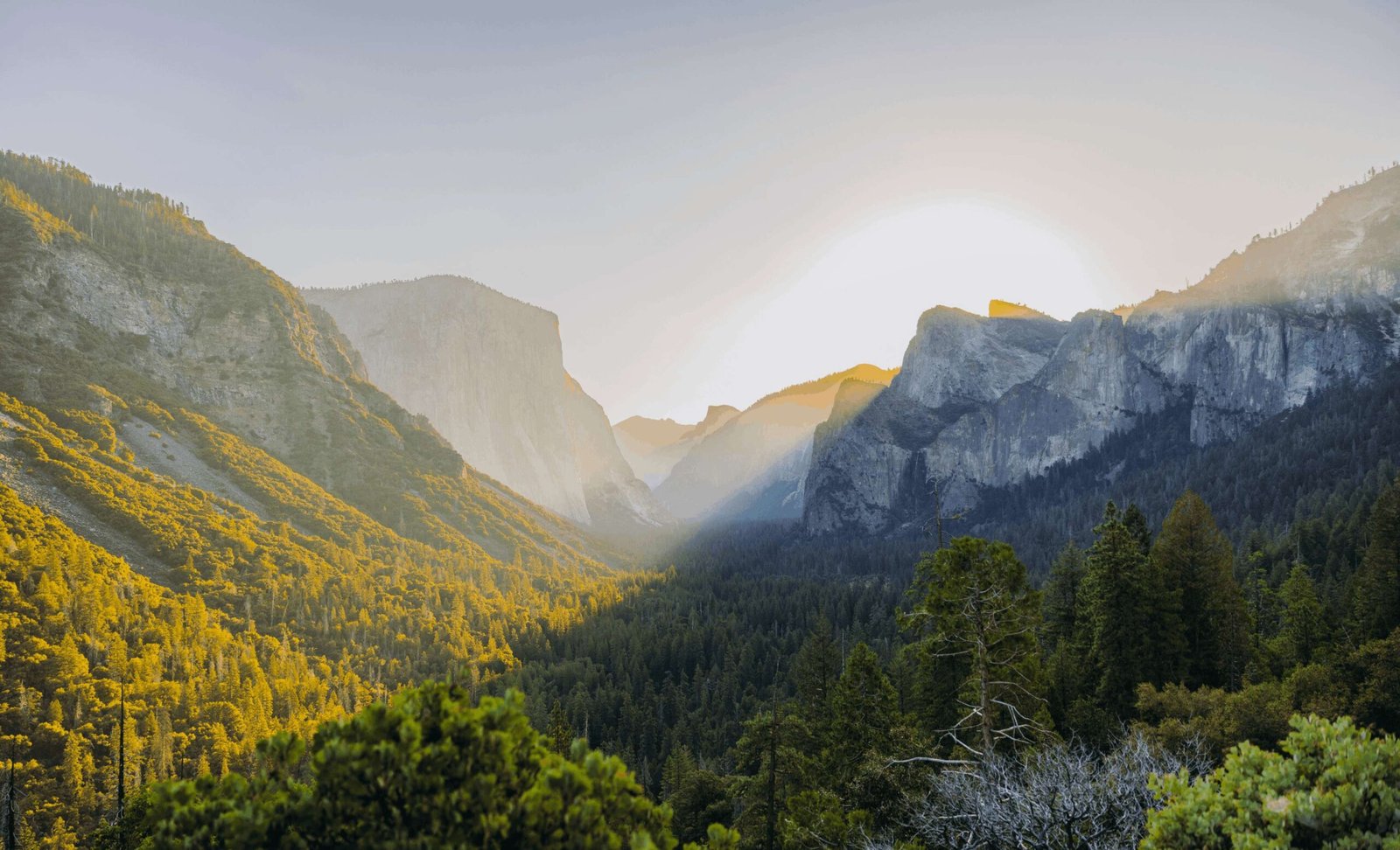 Canyon Stream Image